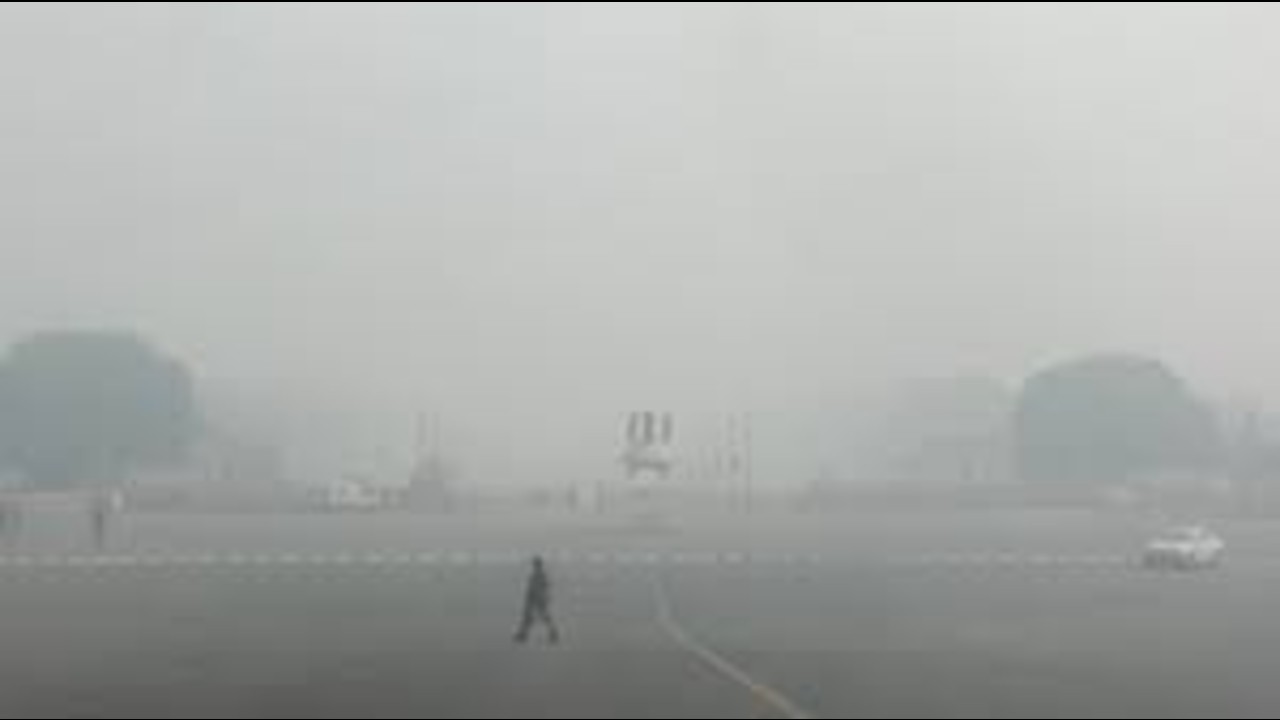 Delhi Fog